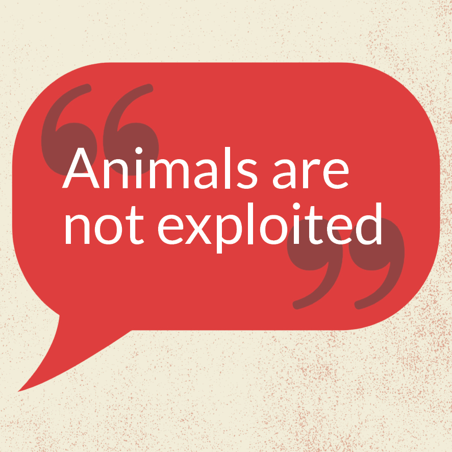 »Animals are not exploited«