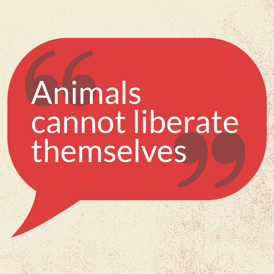»Animals cannot liberate themselves«