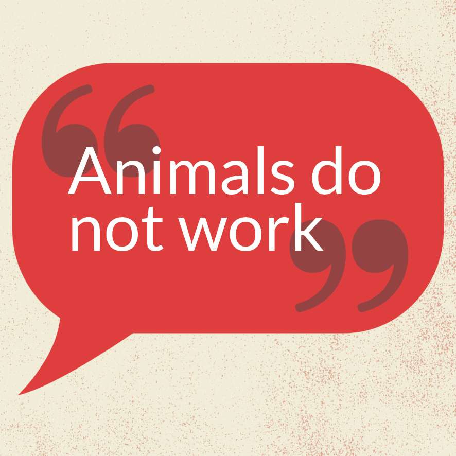 »Animals do not work«