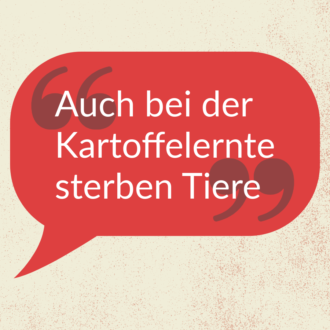 »Auch bei der Kartoffelernte sterben Tiere«