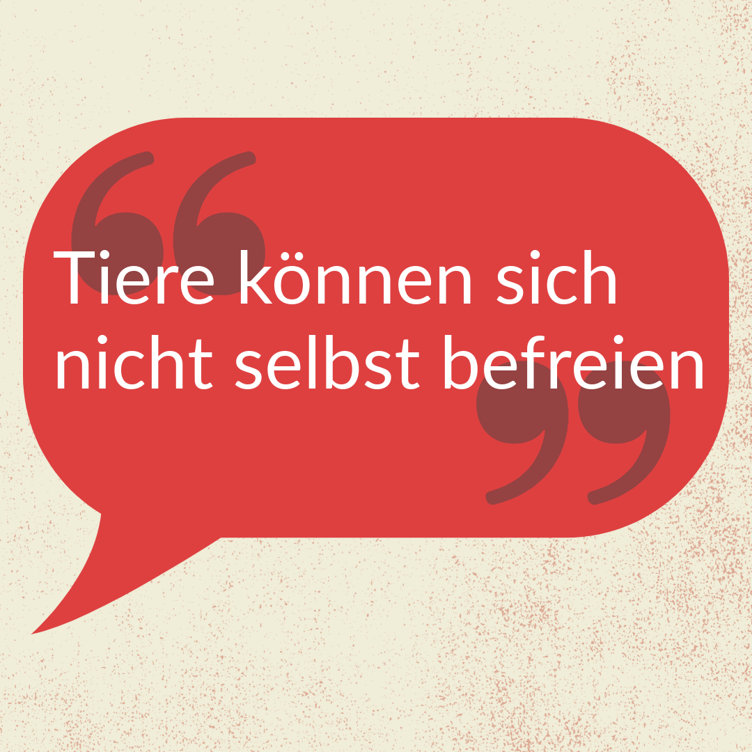 »Tiere können sich nicht selbst befreien«