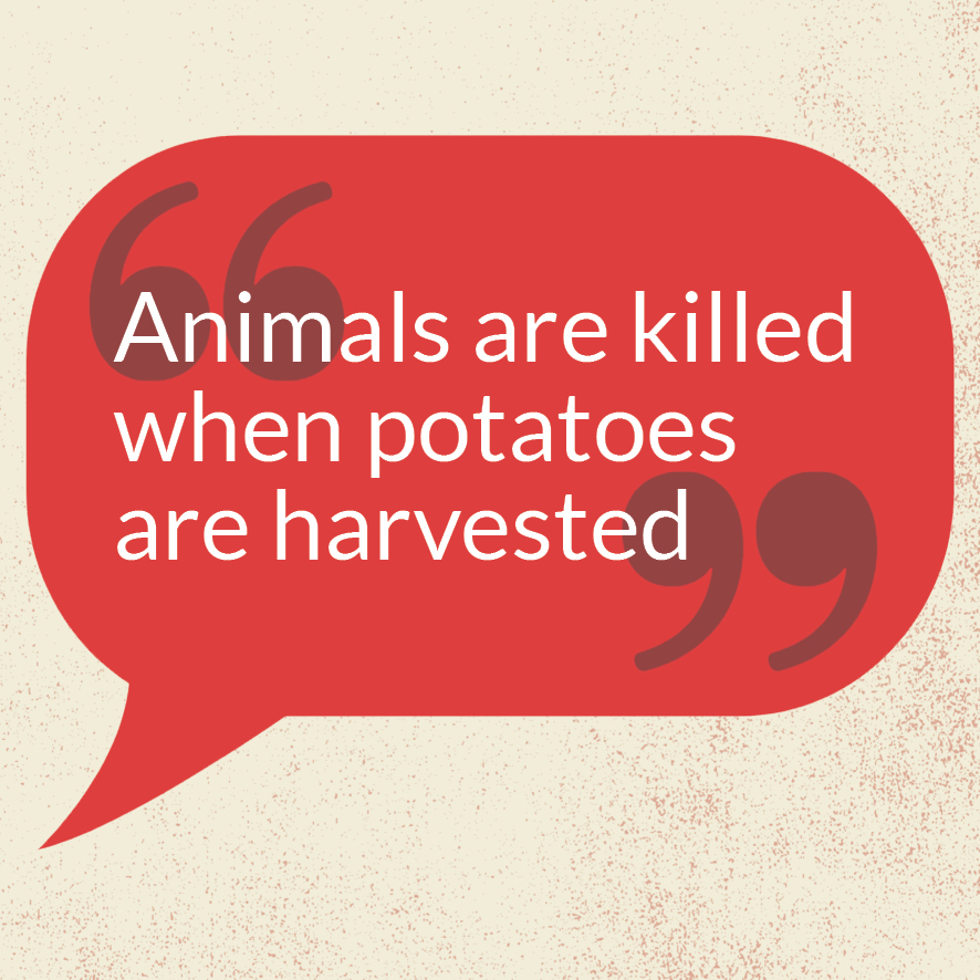 »Animals are killed when potatoes are harvested«